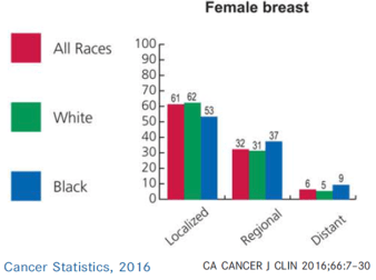 breaststatistics